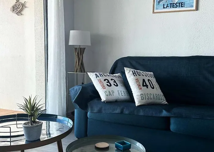 Pieds Dans L Eau - T2 Confort Avec Vue Bassin - 4 Personnes Mae-0204